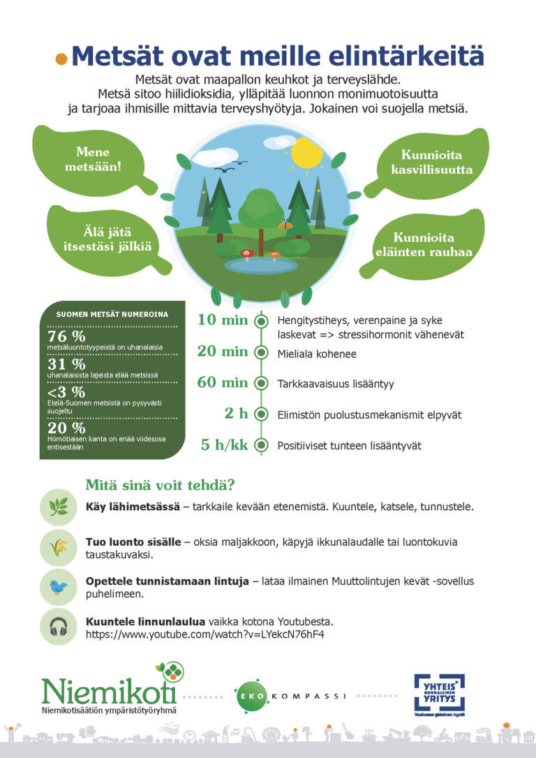 Toukokuun ympäristöteema – metsäluonto